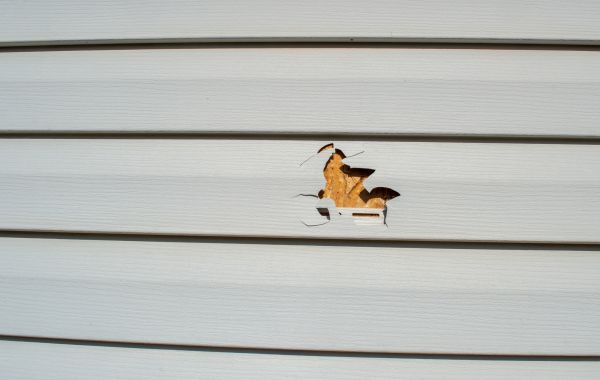 Siding Hole Patching in Palatine